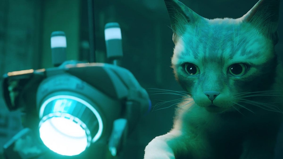 New PS5 Game 'Stray' Lets You Be A Cat In A Neon-Lit Cybercity And Solve  Mysteries In It