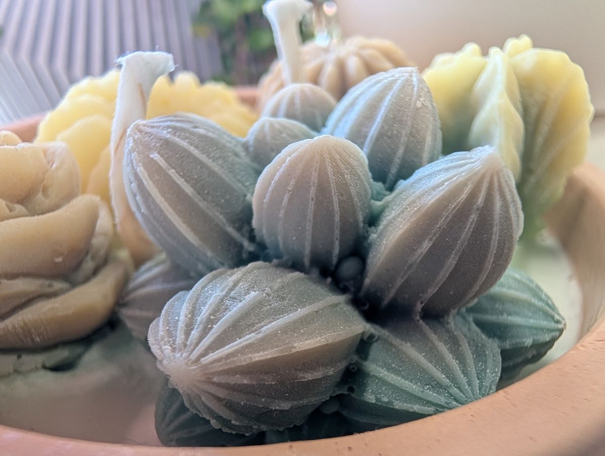 Google Pixel 9 Pro XL macro sample.