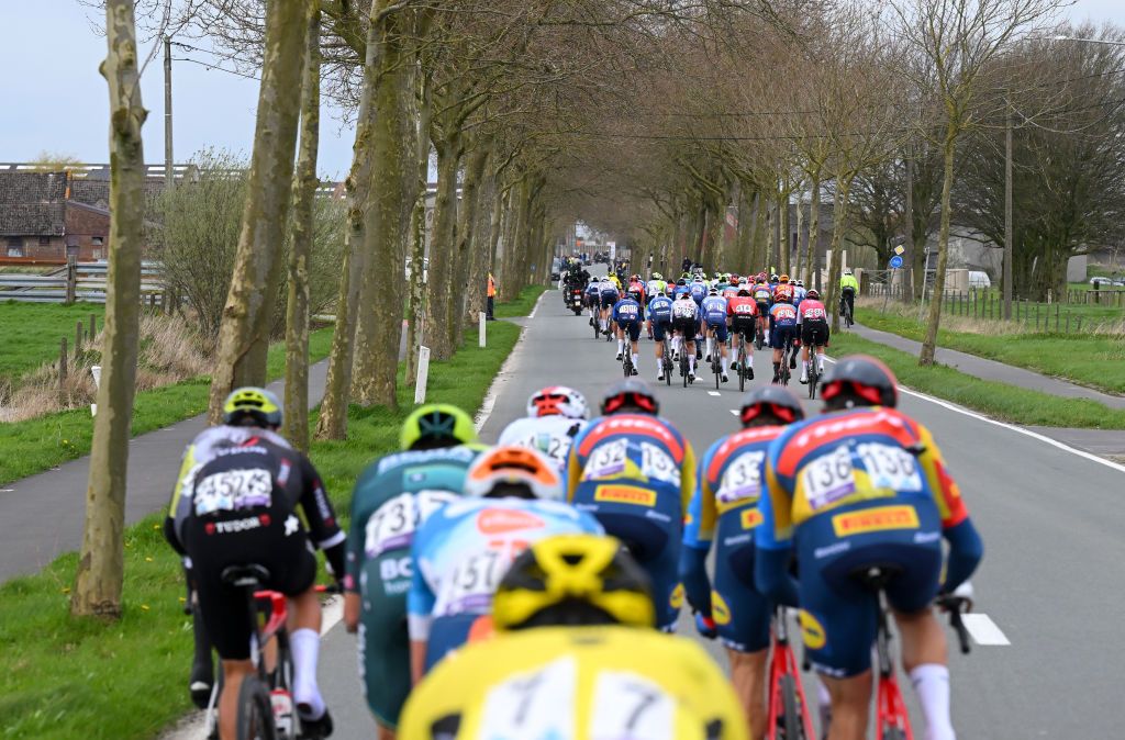 WEVELGEM BELGIUM MARCH 24 A general view of the peloton competing in echelons formation due to the crosswind during the 86th GentWevelgem in Flanders Fields 2024 Mens Elite a 2531km one day race from Ieper to Wevelgem UCIWT on March 24 2024 in Wevelgem Belgium Photo by Tim de WaeleGetty Images