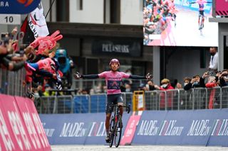 CORTINA DAMPEZZO ITALY MAY 24 Egan Arley Bernal Gomez of Colombia and Team INEOS Grenadiers Pink Leader Jersey stage winner celebrates at arrival during the 104th Giro dItalia 2021 Stage 16 a 153km stage shortened due to bad weather conditions from Sacile to Cortina dAmpezzo 1210m girodiitalia Giro on May 24 2021 in Cortina dAmpezzo Italy Photo by Stuart FranklinGetty Images