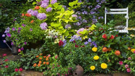 Annuals and perennials in bloom in a backyard flower bed