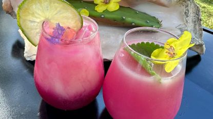 prickly pear juice
