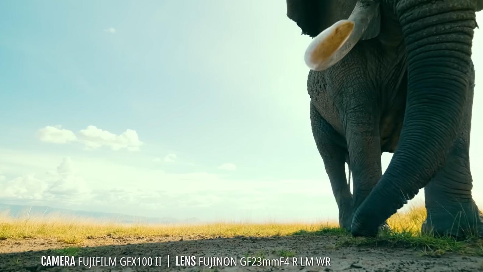 Bob Poole Elephant-proof GFX 100 II