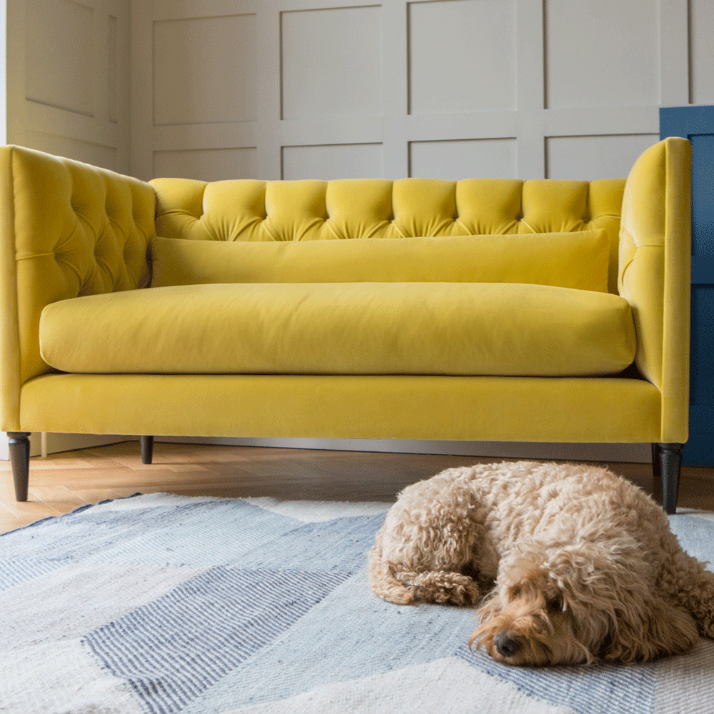 living area with yellow sofa and wooden floor and dog