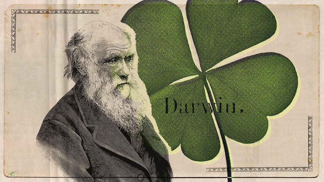 Photo collage of an engraving of Charles Darwin and a four leaf clover