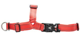 Atlas Pet Company Lifetime Harness