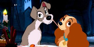 Animated Lady and the tramp
