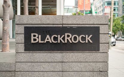 BlackRock Capital Investment