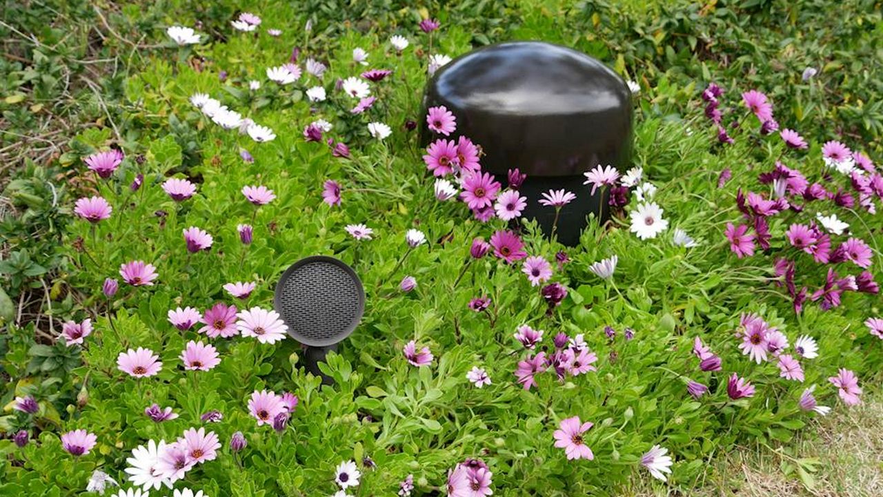 Sonance Garden 8.1 SYSTEM