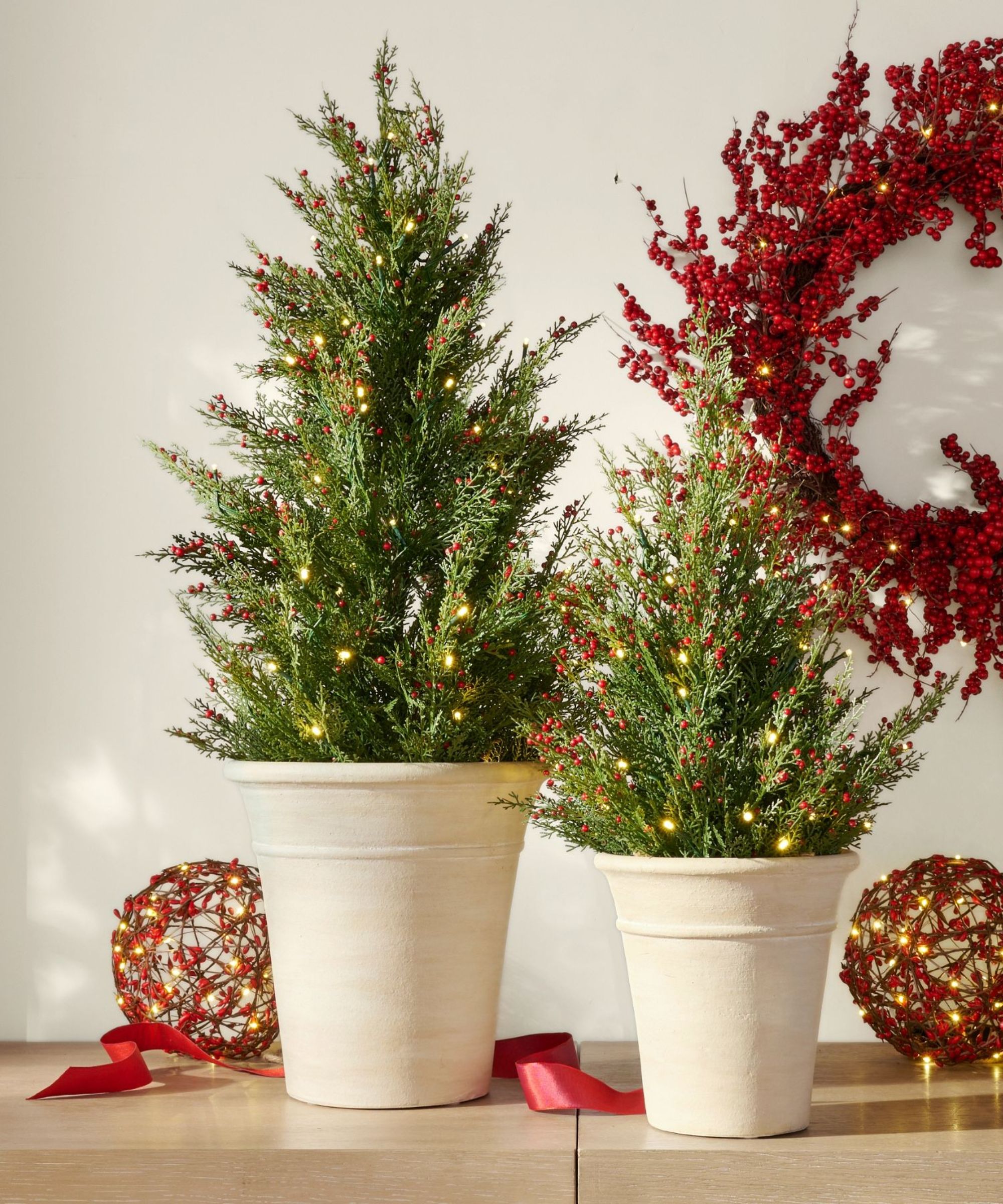White potted tabletop trees with red berry decorations and twinkling lights
