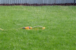 a lawn being watered with an irrigation system