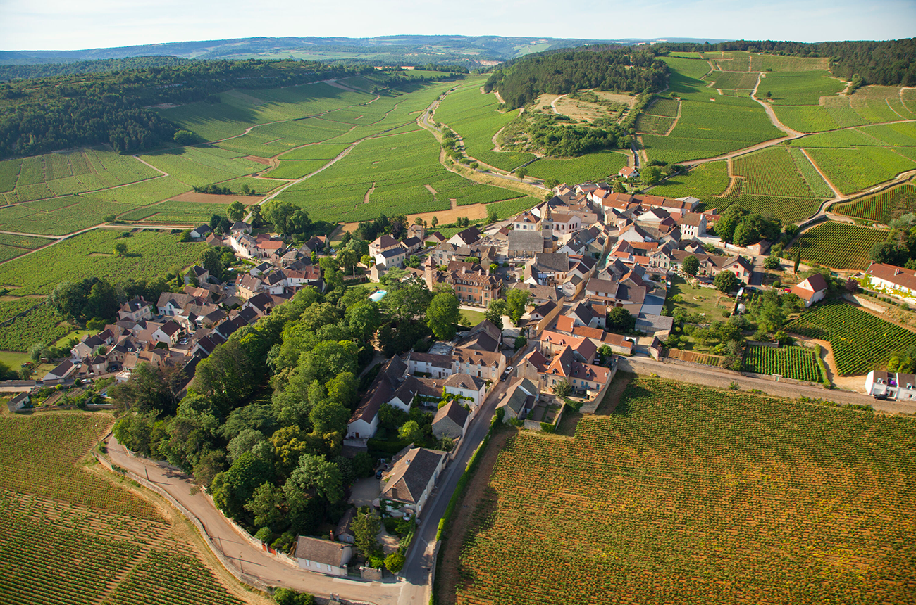 Month&amp;eacute;lie, Auxey, St-Romain