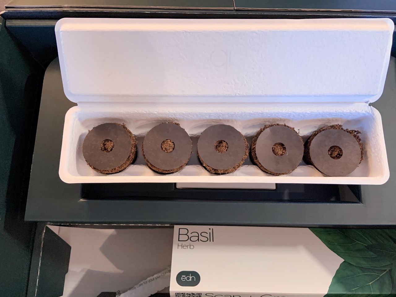 Edn Smallgarden Review Seedpods