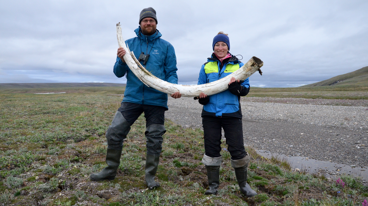 Study senior researcher Love Dal&eacute;n (left) and co-lead researcher Patr&iacute;cia Pečnerová (right) hold a mammoth tusk on Wrangel Island.