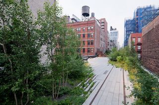 densely planted area of trees and shrubs between West 20th and West 22nd Streets