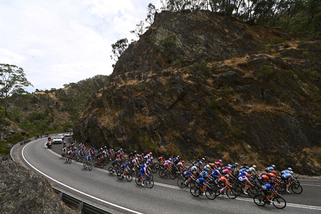 The Women's Tour Down Under peloton