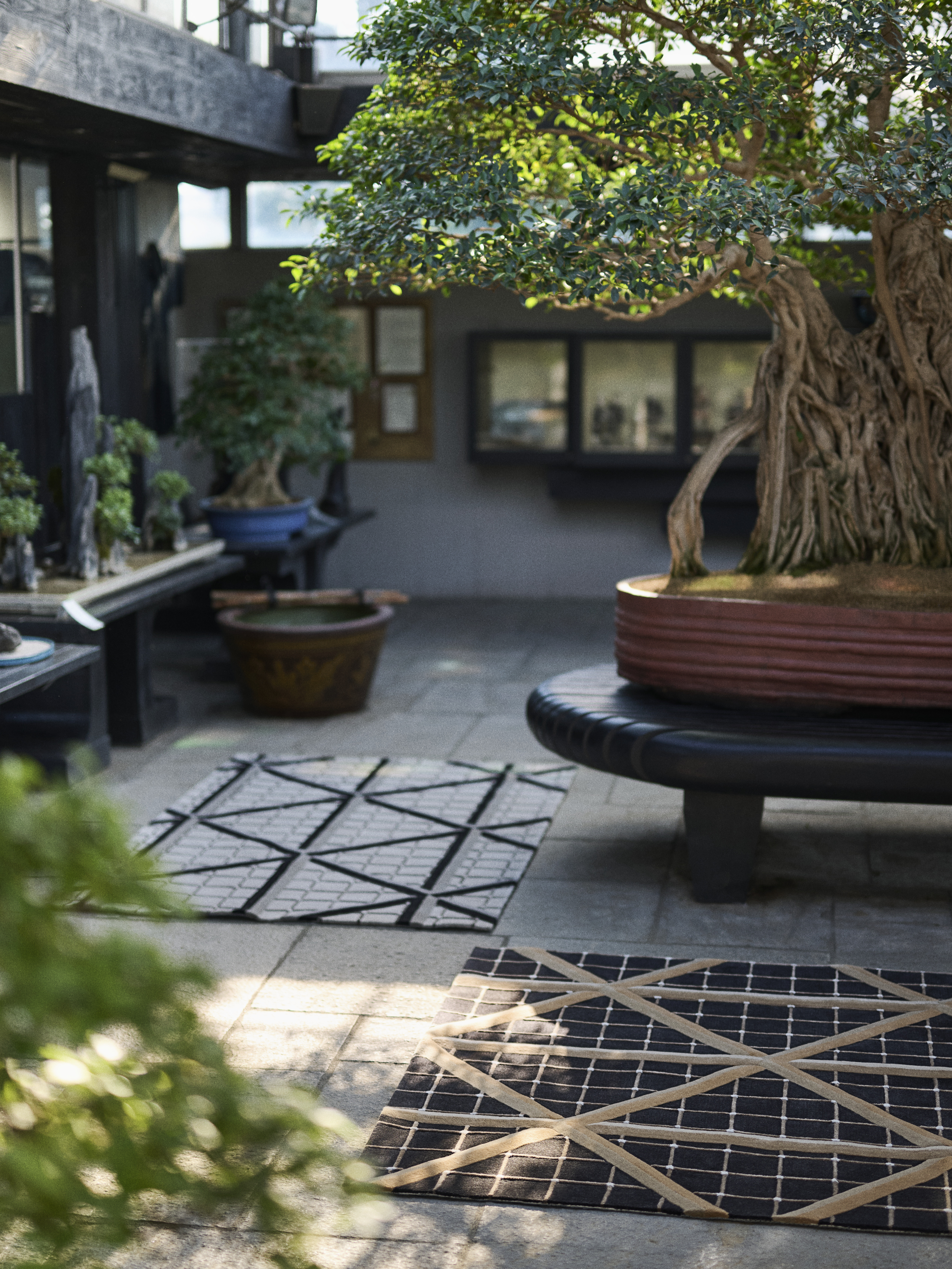 Crespi Bonsai Museum Milan