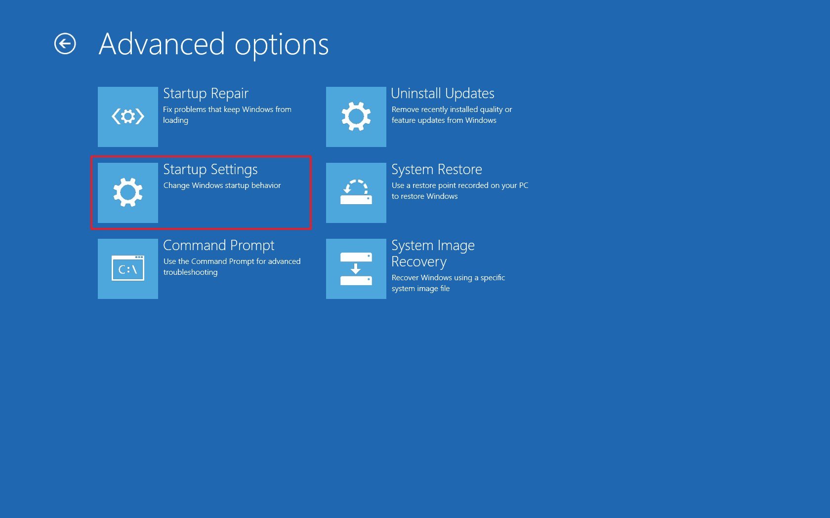 Advanced Options Startup Settings option