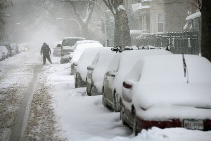 Snow covers car rooftops in Chicago after a heavy snowfall.