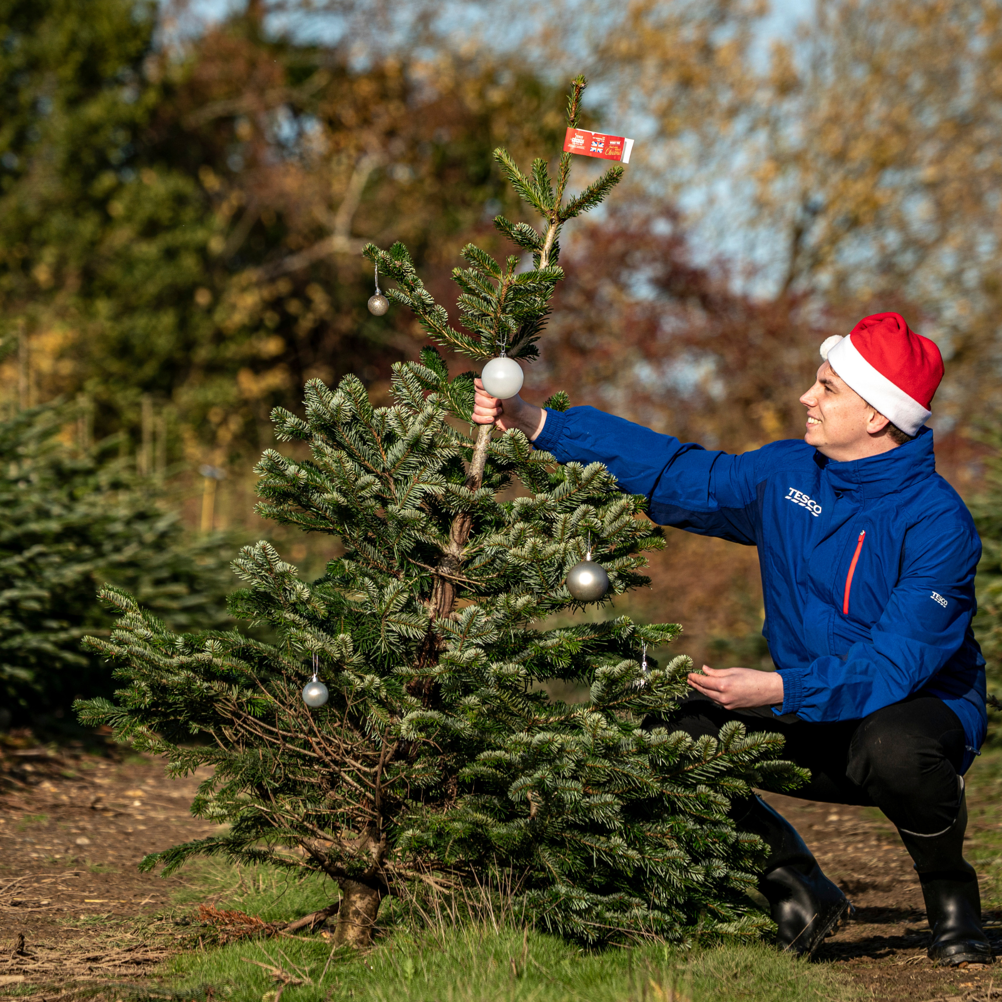 A Tesco worker posing with a Tesco wonky christmas tree.