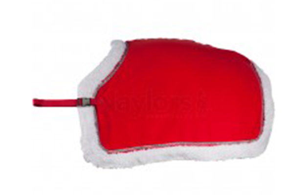 Horze Christmas exercise sheet