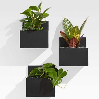 Black square quiet luxury garden planters on a white wall