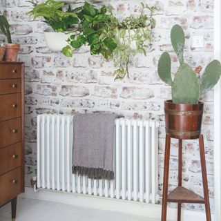 White radiator on a white painted interior brick wall, with a cactus in a plant stand to the right and a wooden chest of drawers to the left