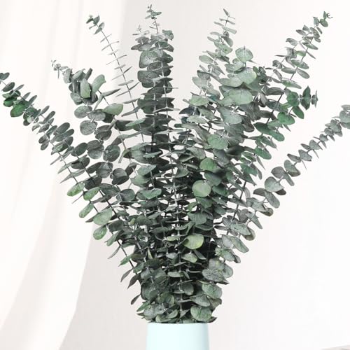 20 Pcs Dried Eucalyptus Stems, 17'' Real Greenery Leaves for Shower Hanging