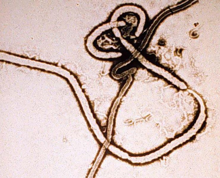 Sierra Leone restricts travel into 3 Ebola &amp;#039;hotspots&amp;#039;