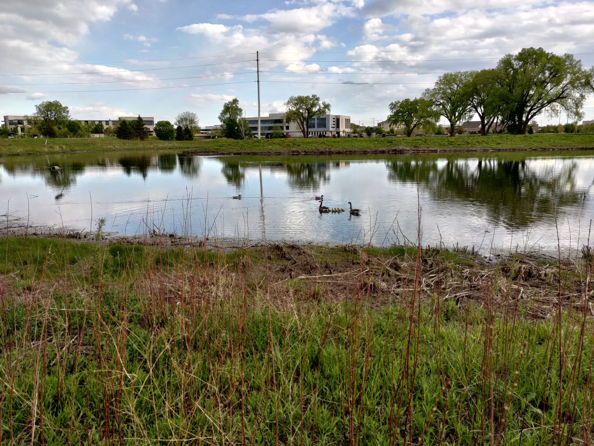 Asus Zenfone 8 camera samples