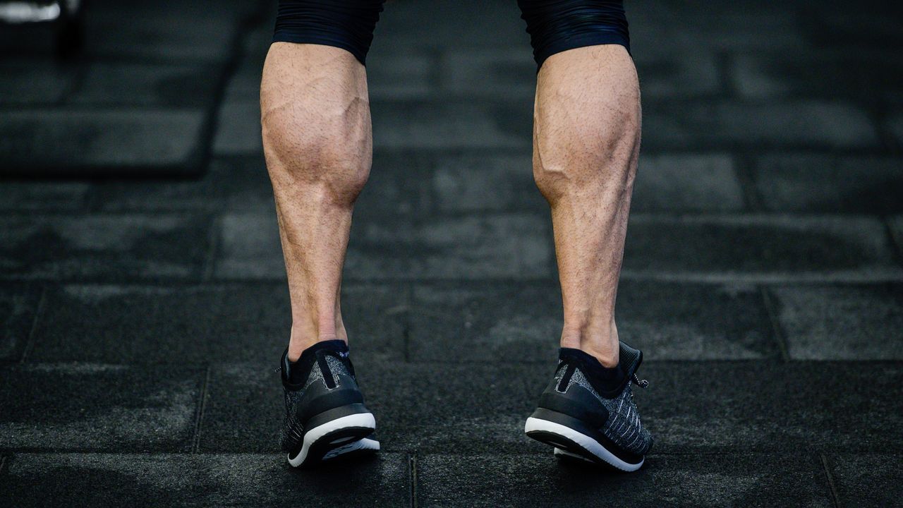 Calf raises 