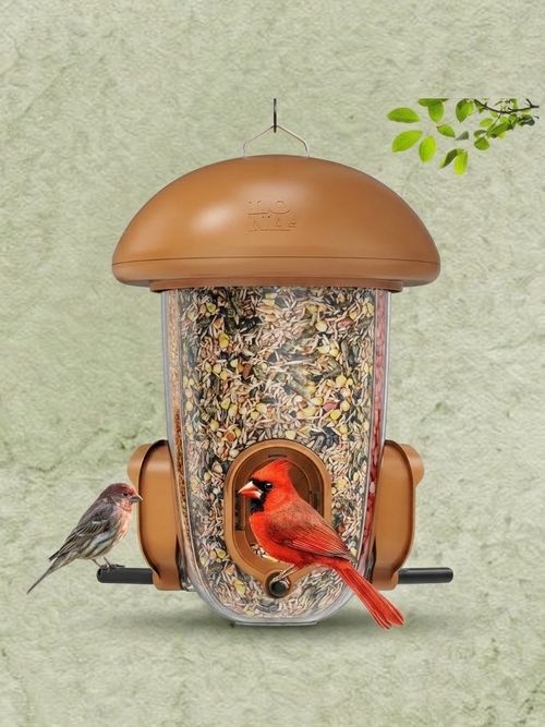 Weatherproof Bird Feeder&nbsp;