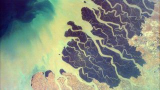 A satellite image shows the many branches of the Ganges Delta as they empty into the Bay of Bengal.