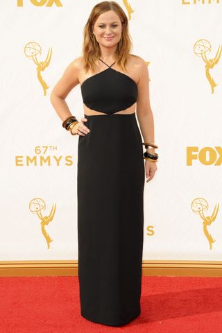 Amy Poehler At The Emmys 2015