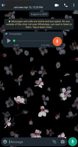 whatsapp video call screenshot