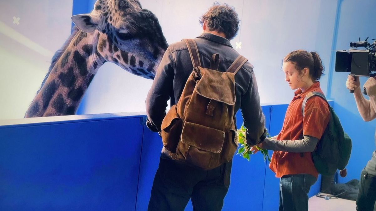 A shot of actors Bella Ramsey and Pedro Pascal stood with a giraffe