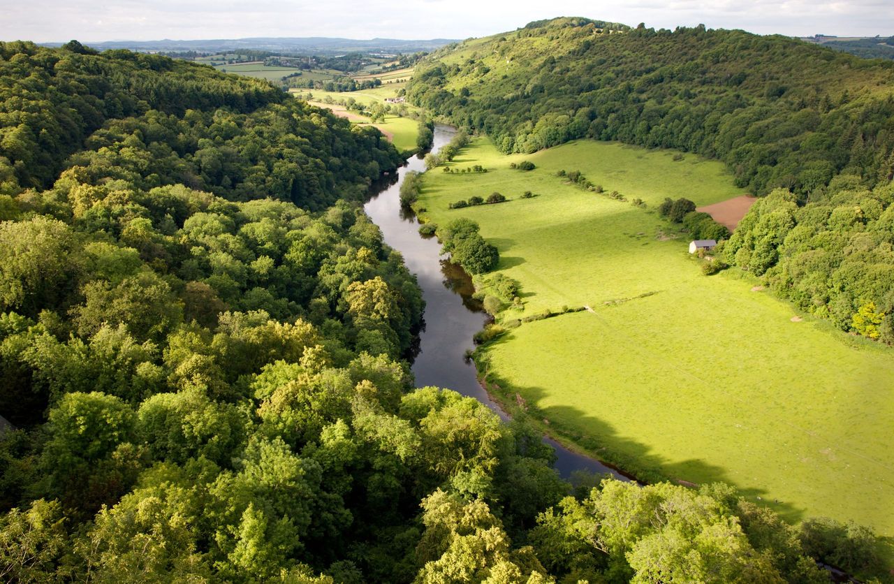 The view north from Symonds Yat Rock and the Wye valley towards Ross on Wye.