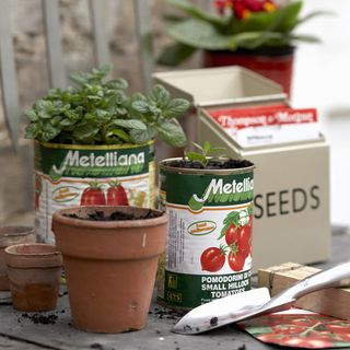 potted plants with seeds and shovel