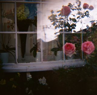 Lomography Diana F+ sample images