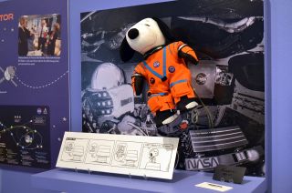 Snoopy, the zero-gravity indicator that flew to the moon on NASA's Artemis I mission, makes its public debut alongside other flown-in-space "Peanuts" artifacts in "Snoopy in Orbit," a new exhibit now open at the Charles M. Schulz Museum in Santa Rosa, California. 