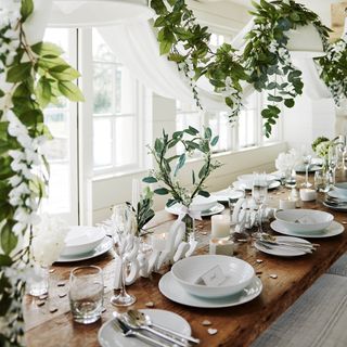 green foliage plant with white plates and wooden table