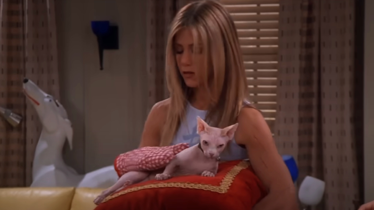 Jennifer Aniston holding a hairless cat on Friends