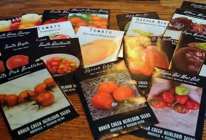Packets Of Hybrid And Non-Hybrid Vegetable Seeds