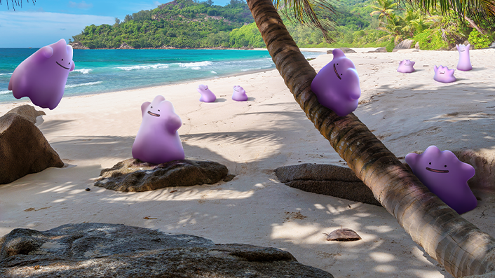 Lots of copies of Ditto on a tropical island in Pokemon Go