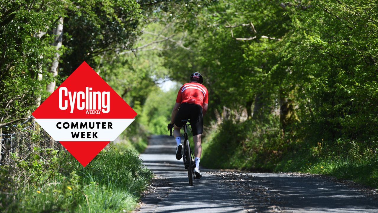 Cyclist climbs on a leafy lane