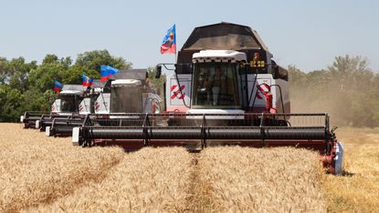 Wheat production in Ukraine 