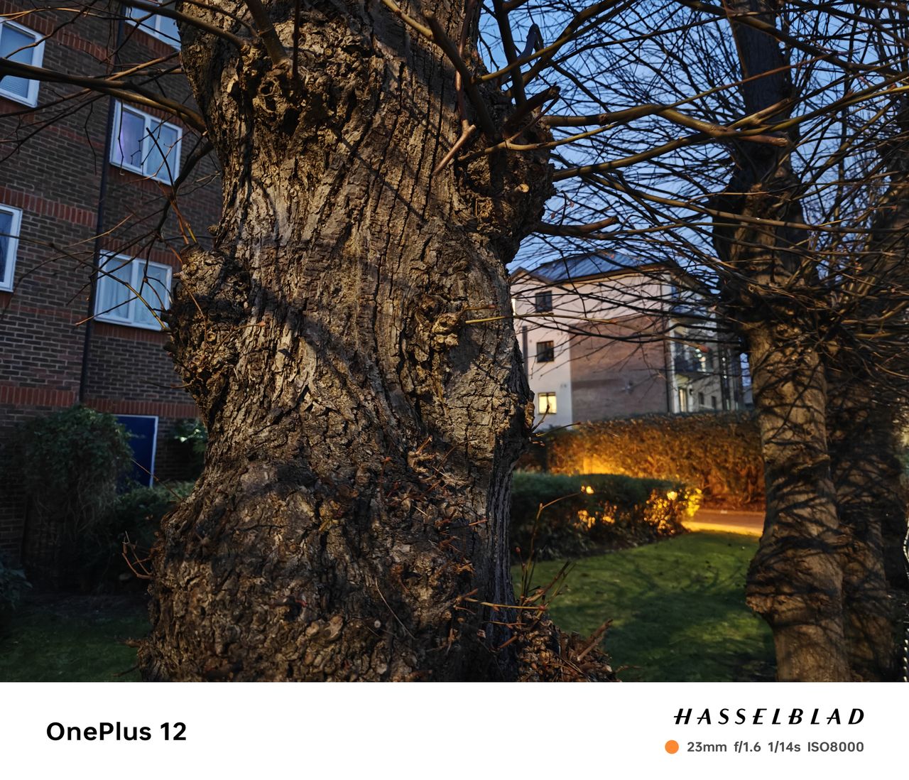A photo captured on the OnePlus 12