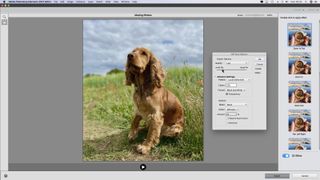 Adobe Photoshop Elements 2021