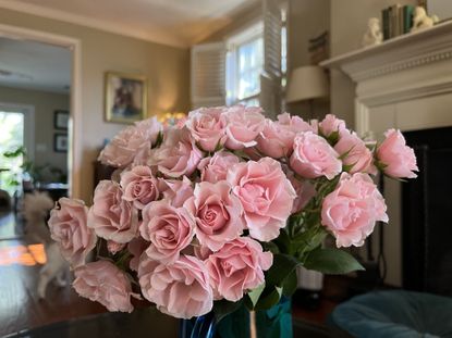 Valentine's Day gift ideas - A bouquet of pink roses in a living room