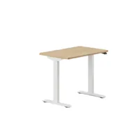 Branch Duo standing desk